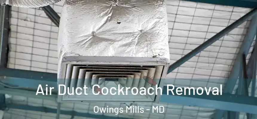  Air Duct Cockroach Removal Owings Mills - MD