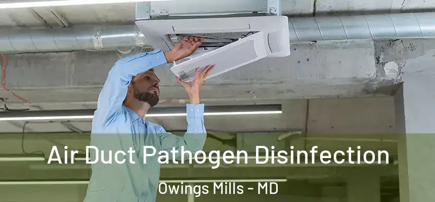 Air Duct Pathogen Disinfection Owings Mills - MD