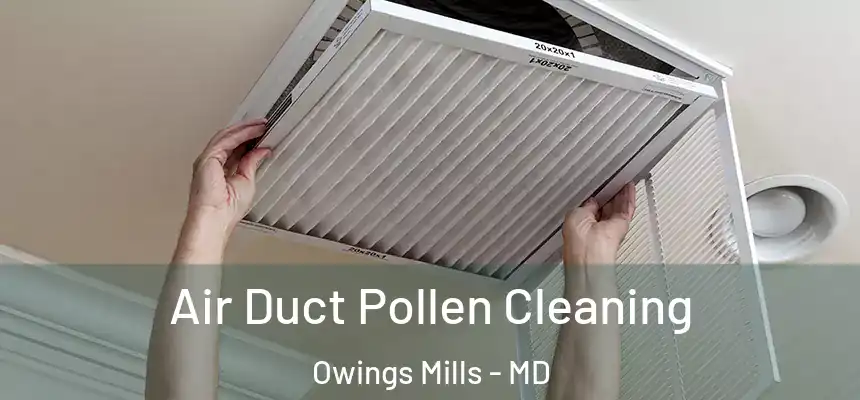  Air Duct Pollen Cleaning Owings Mills - MD