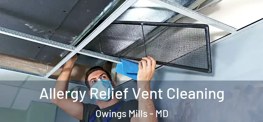 Allergy Relief Vent Cleaning Owings Mills - MD