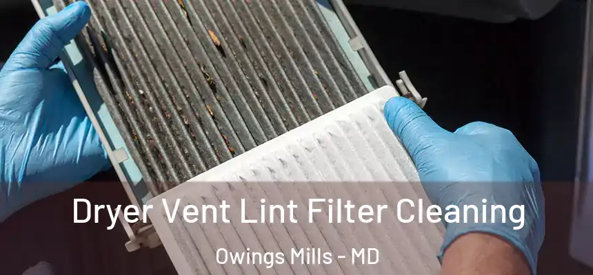  Dryer Vent Lint Filter Cleaning Owings Mills - MD