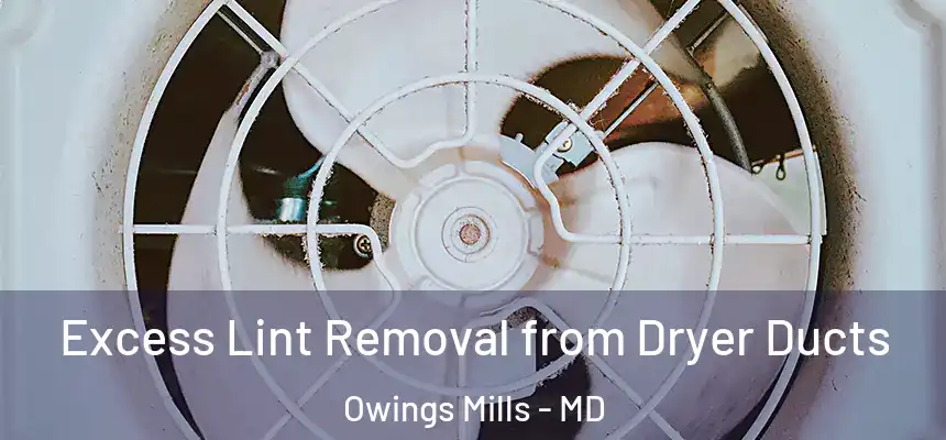 Excess Lint Removal from Dryer Ducts Owings Mills - MD