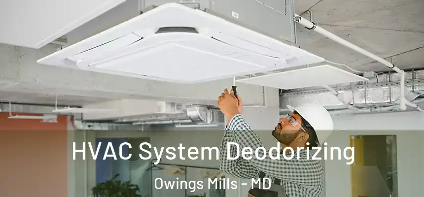  HVAC System Deodorizing Owings Mills - MD