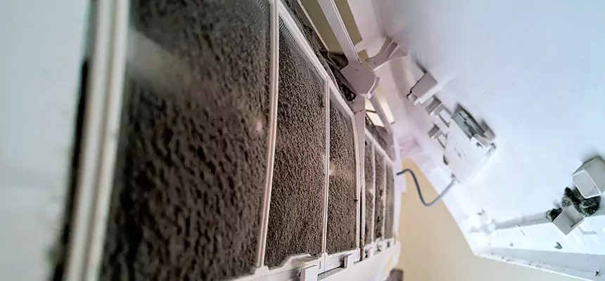 Preventive Air Duct Bacteria Removal in Owings Mills