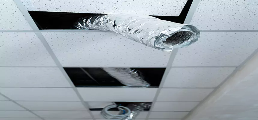 Affordable HVAC Sanitizing After Pest Removal in Owings Mills