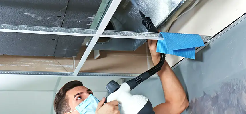 Our Air Duct Rodent Removal Services in Owings Mills, MD