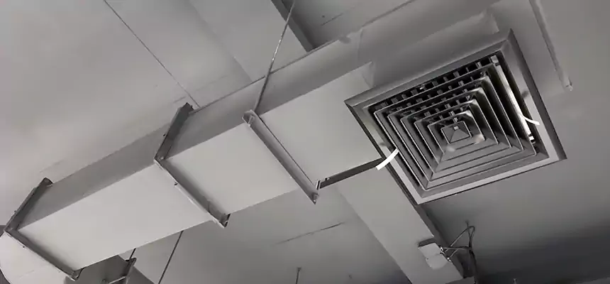 Our Pest Removal From Ducts Services in Owings Mills, MD