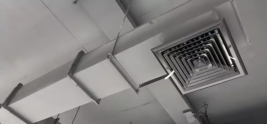 Our Rodent Droppings In Vents Services in Owings Mills, MD