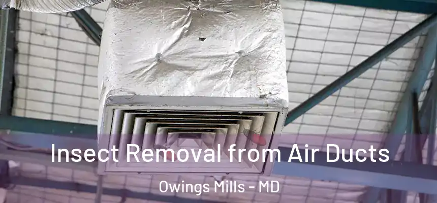  Insect Removal from Air Ducts Owings Mills - MD