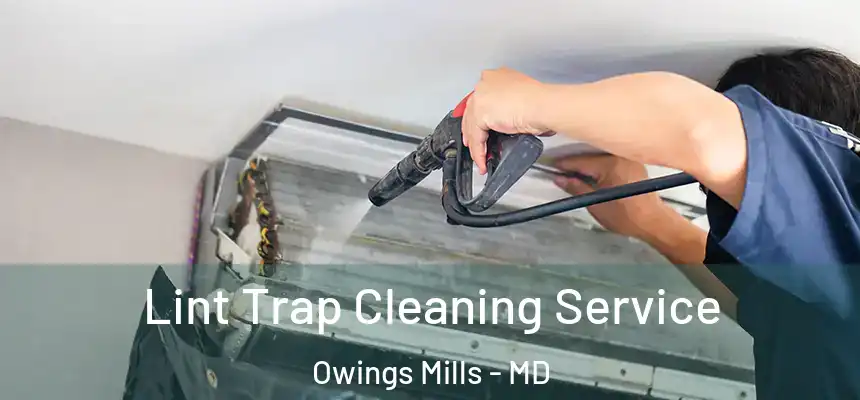 Lint Trap Cleaning Service Owings Mills - MD