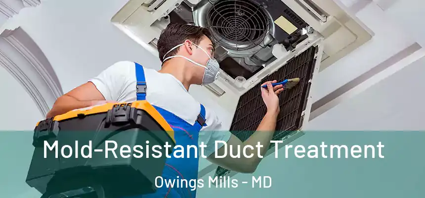  Mold-Resistant Duct Treatment Owings Mills - MD