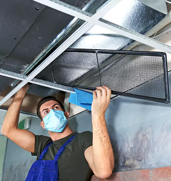 About Air Duct Bacteria Removal in Owings Mills