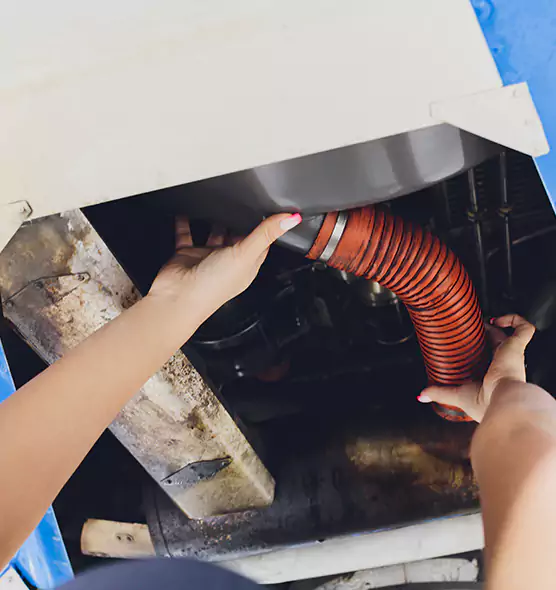 About Air Duct Virus Disinfection in Owings Mills, MD