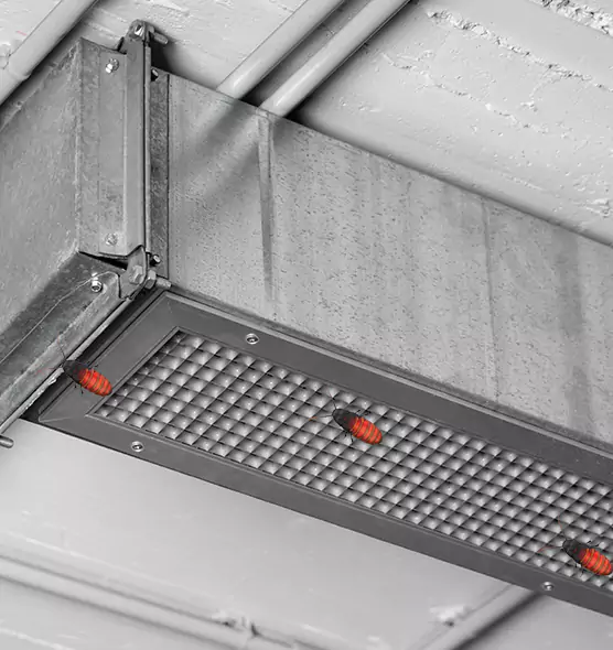 Affordable Insect Removal from Air Ducts in Owings Mills, MD