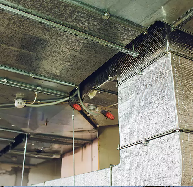 Why Homeowners & Businesses Trust Us in Owings Mills, MD?