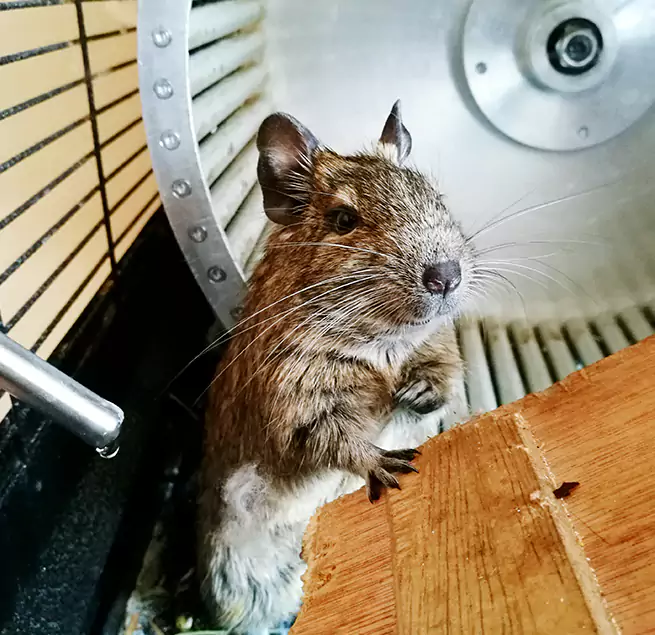 Why Homeowners & Businesses Trust Us Owings Mills, MD