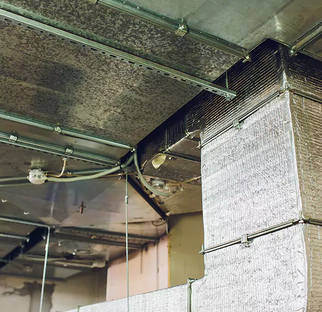 Why Homeowners & Businesses Trust Us in Owings Mills, MD?